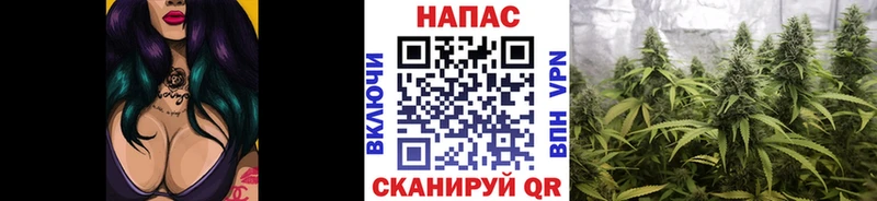 Продажа наркотиков Нововоронеж Кокаин omg онион ГАШ АМФЕТАМИН Каннабис Меф мяу мяу