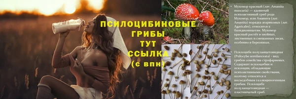 бутират Магас