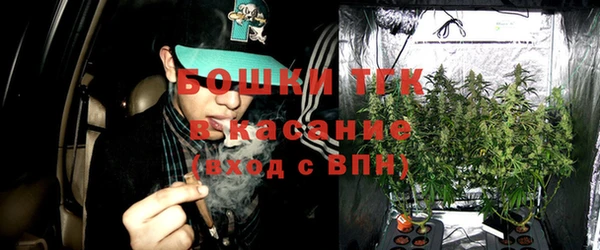эйфоретик Майский
