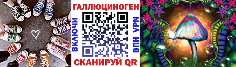 Галлюциногенные грибы Psilocybine cubensis  Нововоронеж 