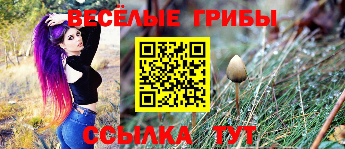 Галлюциногенные грибы Magic Shrooms  Вход с VPN  Псилоцибиновые грибы прущие грибы  Нововоронеж 