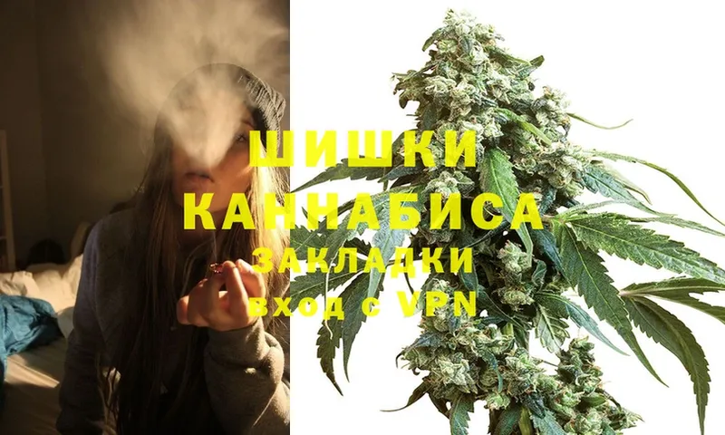 как найти наркотики  Нововоронеж  Бошки марихуана Amnesia 